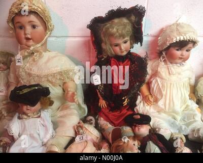 York, Großbritannien. November 2017. Specialist Collectors Dolls Sale in Easingwold, North Yorkshire heute 25. November um 10:00 Uhr Guthaben: PennPix/Matt Pennington/StockimoNews/Alamy Live News Stockfoto