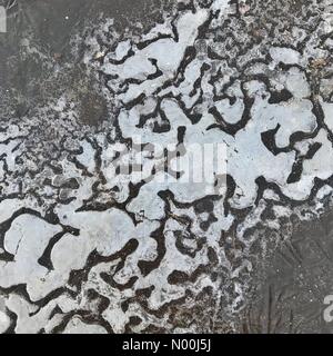 London, Großbritannien. 09 Dez, 2017. Eis und Frost erstellen ein interessantes Muster von wirbelt auf Wimbledon Common, da die Temperaturen unter Null fallen. Credit: Katie Collins/StockimoNews/Alamy leben Nachrichten Stockfoto