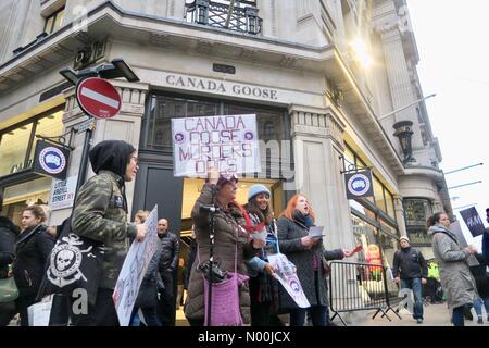 Regent Street, London, UK. 23 Dez, 2017. Tierschützer außerhalb einer Kanadagans Store über den angeblichen Mißbrauch die Rechte der Tiere, insbesondere Hunde zeigen. Credit: Andym/StockimoNews/Alamy leben Nachrichten Stockfoto