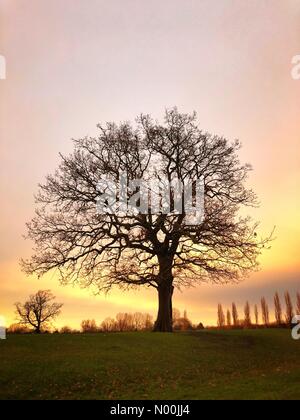 London, Großbritannien. 31 Dez, 2017. UK Wetter: die Sonne hinter den Bäumen am Silvesterabend in Colindale, London, England, UK. Credit: Jamie Gladden/StockimoNews/Alamy leben Nachrichten Stockfoto