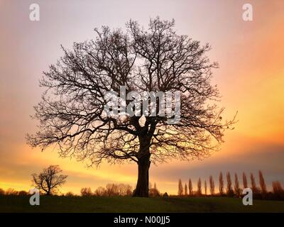 London, Großbritannien. 31 Dez, 2017. UK Wetter: die Sonne hinter den Bäumen am Silvesterabend in Colindale, London, England, UK. Credit: Jamie Gladden/StockimoNews/Alamy leben Nachrichten Stockfoto