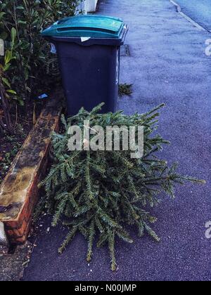 London, Großbritannien. 5. Januar, 2018. Eine weggeworfene Weihnachtsbaum außerhalb eines Hauses in Muswell Hill in London bereits am 5. Januar 2017 Kredite: Louisa Cook/StockimoNews/Alamy leben Nachrichten Stockfoto