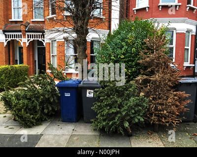 London, Großbritannien. 8. Januar, 2018. London, Großbritannien. 8 Jan, 2018. Entsorgte Weihnachtsbäume außerhalb eines Hauses in Muswell Hill in London 2 Tage nach Erscheinung des Herrn am 8. Januar 2018 Kredite: Louisa Cook/StockimoNews/Alamy Live News Credit: Louisa Cook/StockimoNews/Alamy leben Nachrichten Stockfoto