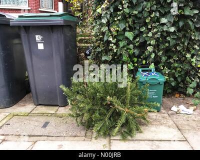 London, Großbritannien. 8. Januar, 2018. Eine verlassene Weihnachtsbaum in der Straße 2 Tage nach Erscheinung des Herrn, 6. Januar 2018 in Muswell Hill, London, England: Louisa Cook/StockimoNews/Alamy Live News Credit: Louisa Cook/StockimoNews/Alamy leben Nachrichten Stockfoto