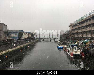 Tokio, Japan. 22 Jan, 2018. Schneit in Tokio. 22 Jan, 2018 Credit: Temiko/StockimoNews/Alamy leben Nachrichten Stockfoto