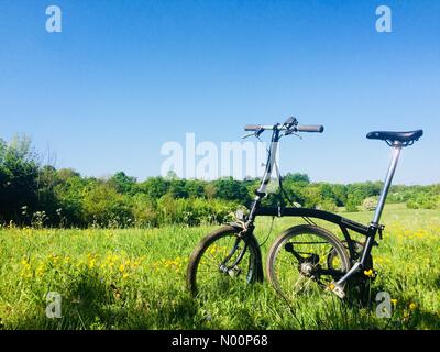 Nonsuch Park in Cheam, London, UK. 7. Mai, 2018. Genießen Sie die May Bank Holiday um die Landschaft zu meinem Brompton Credit: flyingdoc/StockimoNews/Alamy leben Nachrichten Stockfoto