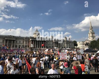 London, Großbritannien. 13. Juli 2018. London Trafalgar Square Protest gegen Trump Credit: tomgristo/StockimoNews/Alamy leben Nachrichten Stockfoto