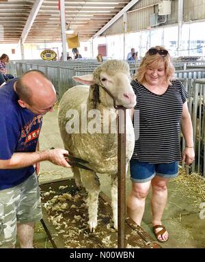 West Allis, Wisconsin, USA, 3. Aug 2018. Wisconsin State Fair, 3. August 2018, 02241, USA, Wisconsin State Fair Park ist in vollem Gange am 2. Tag der 2018 Messe, DianaJ/StockimoNews/Alamy Credit: Diana J./StockimoNews/Alamy leben Nachrichten Stockfoto