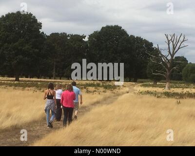 Hampton Wick, Kingston upon Thames, Großbritannien. 11 Aug, 2018. UK Wetter: Familie in Bushy Park London Credit: PennPix/Matt Pennington/StockimoNews/Alamy leben Nachrichten Stockfoto