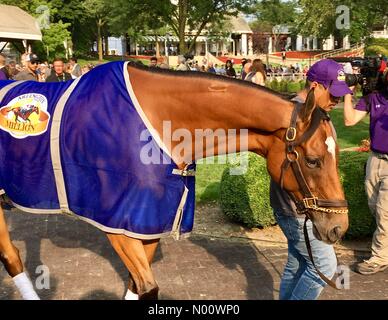 Arlington Million Tag, 11. August 2018, Arlington Heights, Illinois, USA, top Rasen Pferde laufen in Der multimillion Dollar Note 1 rasen Rennen, DianaJ/StockimoNews/Alamy Stockfoto