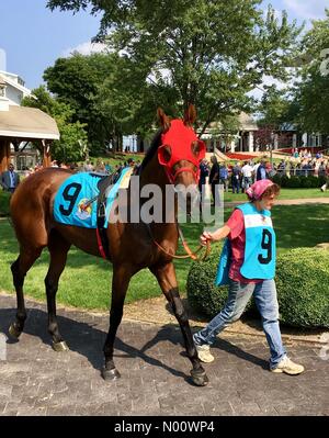 Arlington Million Tag, 11. August 2018, Arlington Heights, Illinois, USA, top Rasen Pferde laufen in Der multimillion Dollar Note 1 rasen Rennen, DianaJ/StockimoNews/Alamy Stockfoto