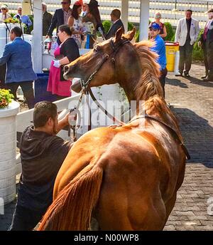 Arlington Million Tag, 11. August 2018, Arlington Heights, Illinois, USA, top Rasen Pferde laufen in Der multimillion Dollar Note 1 rasen Rennen, DianaJ/StockimoNews/Alamy Stockfoto