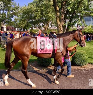 Arlington Million Tag, 11. August 2018, Arlington Heights, Illinois, USA, top Rasen Pferde laufen in Der multimillion Dollar Note 1 rasen Rennen, DianaJ/StockimoNews/Alamy Stockfoto