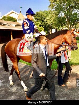 Arlington Million Tag, 11. August 2018, Arlington Heights, Illinois, USA, top Rasen Pferde laufen in Der multimillion Dollar Note 1 rasen Rennen, DianaJ/StockimoNews/Alamy Stockfoto