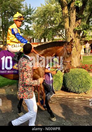 Arlington Million Tag, 11. August 2018, Arlington Heights, Illinois, USA, top Rasen Pferde laufen in Der multimillion Dollar Note 1 rasen Rennen, DianaJ/StockimoNews/Alamy Stockfoto