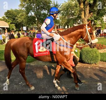 Arlington Million Tag, 11. August 2018, Arlington Heights, Illinois, USA, top Rasen Pferde laufen in Der multimillion Dollar Note 1 rasen Rennen, DianaJ/StockimoNews/Alamy Stockfoto