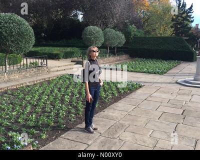 London, Großbritannien. 13. Oktober 2018. Sonnigen Samstag Nachmittag in Holland Park London 13 Oktober 2018 Credit: JOHNNY ARMSTEAD/StockimoNews/Alamy leben Nachrichten Stockfoto