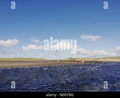 Anglesey, UK. 27. Oktober 2018. Möwen Landung auf kabbelwasser auf Rhosneigr Strand an einem sonnigen und windigen Tag, Anglesey, North Wales, UK Credit: Charlotte Machin/StockimoNews/Alamy leben Nachrichten Stockfoto