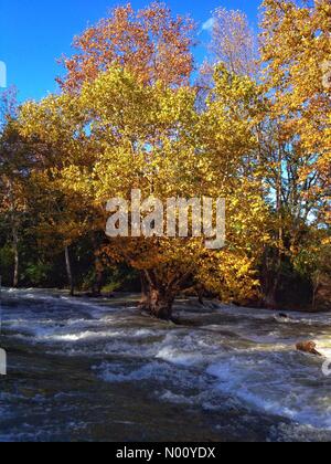 Landschaft der Lez Fluss nach schweren Herbstregen Stockfoto