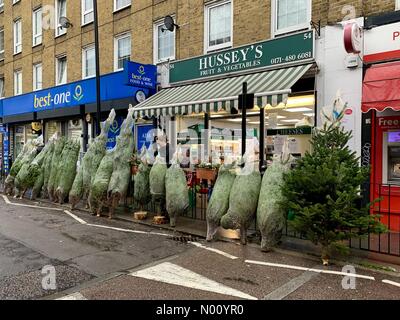 LONDON, GROSSBRITANNIEN. 1. Dezember 2018. Weihnachtsbäume zum Verkauf auf der Straße vor dem hussey's Obst- und Gemüsehändler in Wapping Lane, East London. Credit: Vickie Flores/StockimoNews/Alamy Live News Credit: Vickie Flores/StockimoNews/Alamy leben Nachrichten Stockfoto