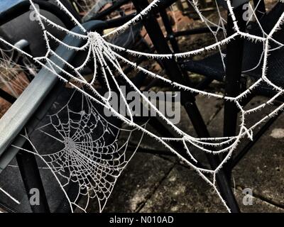 Gefrorene spinnen Web-sites auf Gartenmöbel im Guiseley West Yorkshire Großbritannien Wetter Stockfoto