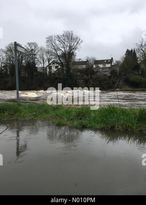 Ilkley, Yorkshire, Großbritannien, 12. März 2019 - Mit Storm Gareth aufgrund später heute nacht Niederschlag hat bereits die River Wharfe in Skipton vollständig bedeckt den Weg der Trittsteine angeschwollen. Credit: Victoria Gardner/StockimoNews/Alamy leben Nachrichten Stockfoto