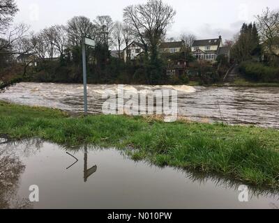 Ilkley, Yorkshire, Großbritannien, 12. März 2019 - Mit Storm Gareth aufgrund später heute nacht Niederschlag hat bereits die River Wharfe in Skipton vollständig bedeckt den Weg der Trittsteine angeschwollen. Credit: Victoria Gardner/StockimoNews/Alamy leben Nachrichten Stockfoto