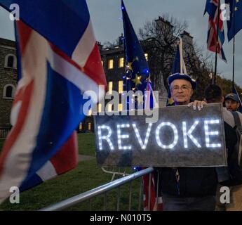 London, Großbritannien. 21. Mär 2019. Aus Protest Seite die Häuser des Parlaments für widerrufen Artikel 50 Credit: paulbevan/StockimoNews/Alamy leben Nachrichten Stockfoto