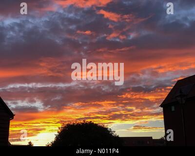 UK Wetter: Heiß und sonnig in Godalming. Sycamore Avenue, Godalming. 05. Juli 2019. Ein schöner Ausklang des Tages für zu Hause in den Grafschaften. Sonnenuntergang über Godalming, Surrey. Credit: jamesjagger/StockimoNews/Alamy leben Nachrichten Stockfoto