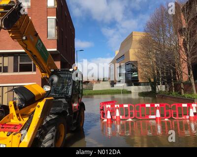 Worcester, Großbritannien. Februar 2020. Wetter in Großbritannien - Überschwemmungen in Worcester - Mittwoch, 26. Februar 2020 Überschwemmungen untersagen die Bibliothek in der Nähe des Flusses Severn im Zentrum von Worcester. Der Severn steigt weiter. Credit: Steven May/StockimoNews/Alamy Live News Stockfoto