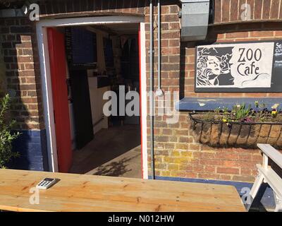 Station Lane, Milford, Surrey, Großbritannien. März 2020. Ein Café zum Mitnehmen in der Milford Station in der Nähe von Godalming in Surrey, das Vorsichtsmaßnahmen gegen den Ausbruch des Coronavirus ergreift. Credit: Jamesjagger/StockimoNews/Alamy Live News Stockfoto