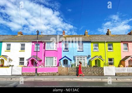 Westward Ho! Devon. August 2020. UK Wetter: Eine Demure Raich Keene genießt die farbenfrohe Springfield Terrace in Westward Ho! Devon, Großbritannien Kredit: Nidpor/StockimoNews/Alamy Live News Stockfoto