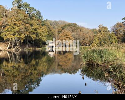 Godalming, Großbritannien. November 2020. UK Wetter: Herbstfarben in Godalming. Winkworth Arboretum, Godalming. November 2020. Sonnenschein in den Heimatkreisen. Herbstfarben im Winkworth Arboretum in Godalming, Surrey. Kredit: Jamesjagger/StockimoNews/Alamy Live Nachrichten Stockfoto