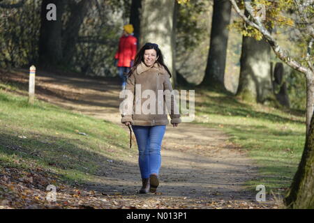 Godalming, Großbritannien. November 2020. UK Wetter: Herbstfarben in Godalming. Winkworth Arboretum, Godalming. November 2020. Sonnenschein in den Heimatkreisen. Herbstfarben im Winkworth Arboretum in Godalming, Surrey. Kredit: Jamesjagger/StockimoNews/Alamy Live Nachrichten Stockfoto