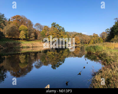 Godalming, Großbritannien. November 2020. UK Wetter: Herbstfarben in Godalming. Winkworth Arboretum, Godalming. November 2020. Sonnenschein in den Heimatkreisen. Herbstfarben im Winkworth Arboretum in Godalming, Surrey. Kredit: Jamesjagger/StockimoNews/Alamy Live Nachrichten Stockfoto