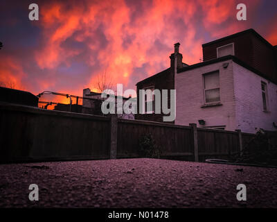 London, Großbritannien. Januar 2021. UK Wetter: Amazing orange Himmel leuchtet ein frostiger Morgen im Norden Londons (c) Paul Swinney/Alamy Live News Credit: Paul Swinney/StockimoNews/Alamy Live News Stockfoto