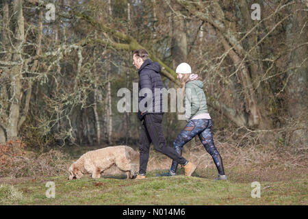 Wetter in Großbritannien: Frostig in Thursley. Thursley Common, Elstead. April 2021. In den Heimatkreisen ist es heute Morgen eiskalt. Hundewanderer im Thursley Common in Elstead, Surrey. Kredit: Jamesjagger/StockimoNews/Alamy Live Nachrichten Stockfoto