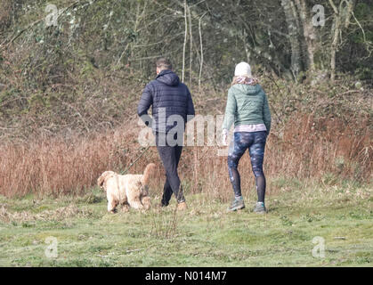 Wetter in Großbritannien: Frostig in Thursley. Thursley Common, Elstead. April 2021. In den Heimatkreisen ist es heute Morgen eiskalt. Hundewanderer im Thursley Common in Elstead, Surrey. Kredit: Jamesjagger/StockimoNews/Alamy Live Nachrichten Stockfoto