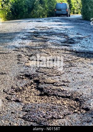 Doddiscombsleigh, Devon, Großbritannien. Juli 2021. UK Wetter: Backtemperaturen schmelzen Teerstraßen an einem weiteren rösten heißen Tag an der Spitze der Tick Lane in der Nähe von Doddiscombsleigh bei Devon. Juli 2021. Kredit: Nidpor Gutschrift: Nidpor/StockimoNews/Alamy Live Nachrichten Stockfoto