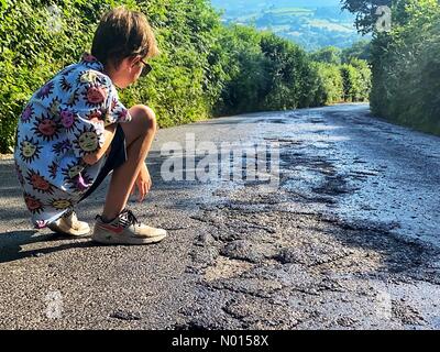 Doddiscombsleigh, Devon, Großbritannien. Juli 2021. UK Wetter: Backtemperaturen schmelzen Teerstraßen an einem weiteren rösten heißen Tag auf der Tick Lane in der Nähe von Doddiscombsleigh bei Devon. Im Bild zeigt Jack Porter die Szene am 21. Juli 2021. Kredit: Nidpor Gutschrift: Nidpor/StockimoNews/Alamy Live Nachrichten Stockfoto