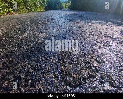 Doddiscombsleigh, Devon, Großbritannien. Juli 2021. UK Wetter: Backtemperaturen schmelzen Teerstraßen an einem weiteren rösten heißen Tag an der Spitze der Tick Lane in der Nähe von Doddiscombsleigh bei Devon. Juli 2021. Kredit: Nidpor Gutschrift: Nidpor/StockimoNews/Alamy Live Nachrichten Stockfoto