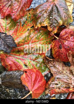 Ardara, County Donegal, Irland Wetter. September 2021. Herbst oder Herbst beginnt an einem nassen Sonntagnachmittag an der Westküste. Kredit: Richard Wayman/StockimoNews/Alamy Live Nachrichten Stockfoto