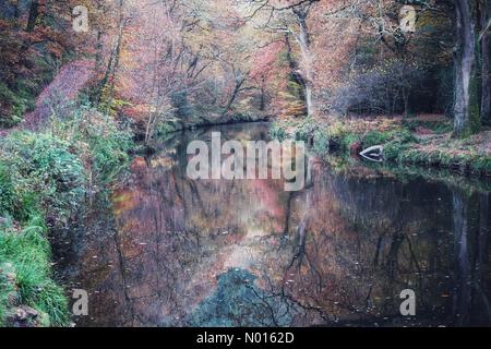 UK Wetter: Lebendige Herbstfarben spiegeln sich auf einem ruhigen Fluss Teign in der Nähe der Fingle Bridge im Teign Valley, Devon, Großbritannien. November 2021. Credit nidpor/ Alamy Live News Credit: Nidpor/StockimoNews/Alamy Live News Stockfoto