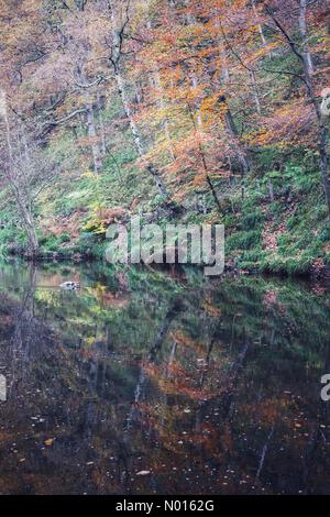 UK Wetter: Lebendige Herbstfarben spiegeln sich auf einem ruhigen Fluss Teign in der Nähe der Fingle Bridge im Teign Valley, Devon, Großbritannien. November 2021. Credit nidpor/ Alamy Live News Credit: Nidpor/StockimoNews/Alamy Live News Stockfoto