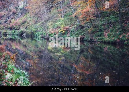 UK Wetter: Lebendige Herbstfarben spiegeln sich auf einem ruhigen Fluss Teign in der Nähe der Fingle Bridge im Teign Valley, Devon, Großbritannien. November 2021. Credit nidpor/ Alamy Live News Credit: Nidpor/StockimoNews/Alamy Live News Stockfoto