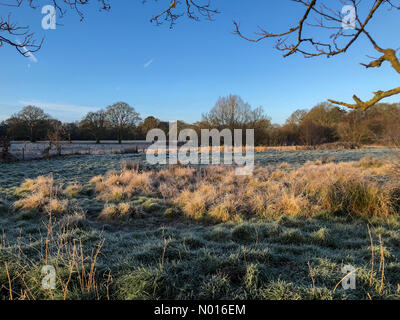 UK Wetter: Frostig in Elstead. Waverley Ln, Elstead. 23rd. Februar 2022. Ein kalter und frostiger Start in den Tag für die Heimatkreise. Frostige Bedingungen entlang des Flusses Wey, Thundry Meadows, Elstead. Kredit: Jamesjagger/StockimoNews/Alamy Live Nachrichten Stockfoto