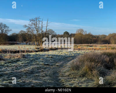 UK Wetter: Frostig in Elstead. Waverley Ln, Elstead. 23rd. Februar 2022. Ein kalter und frostiger Start in den Tag für die Heimatkreise. Frostige Bedingungen entlang des Flusses Wey, Thundry Meadows, Elstead. Kredit: Jamesjagger/StockimoNews/Alamy Live Nachrichten Stockfoto