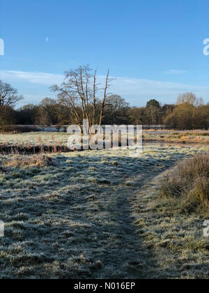 UK Wetter: Frostig in Elstead. Waverley Ln, Elstead. 23rd. Februar 2022. Ein kalter und frostiger Start in den Tag für die Heimatkreise. Frostige Bedingungen entlang des Flusses Wey, Thundry Meadows, Elstead. Kredit: Jamesjagger/StockimoNews/Alamy Live Nachrichten Stockfoto