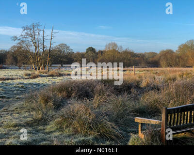 UK Wetter: Frostig in Elstead. Waverley Ln, Elstead. 23rd. Februar 2022. Ein kalter und frostiger Start in den Tag für die Heimatkreise. Frostige Bedingungen entlang des Flusses Wey, Thundry Meadows, Elstead. Kredit: Jamesjagger/StockimoNews/Alamy Live Nachrichten Stockfoto