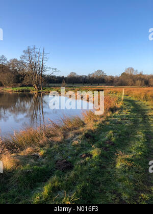 UK Wetter: Sonnenaufgang über Elstead. Waverley Ln, Elstead. 25.. Februar 2022. Ein kalter, aber sonniger Start in den Tag für die Heimatkreise. Sonnenaufgang über dem River Wey bei Thundry Meadows, Elstead, Surrey. Kredit: Jamesjagger/StockimoNews/Alamy Live Nachrichten Stockfoto